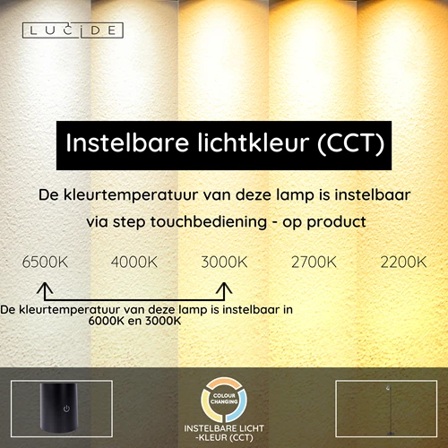 Lucide SKANSKA RECH - Oplaadbare Vloerlamp Binnen/Buiten - Accu/Batterij - Ø 23 cm - LED Dimb. - CCT - 1x3W 3000K/6000K - IP44 - Grijs ijzer - USP